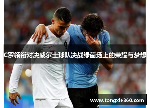 C罗领衔对决威尔士球队决战绿茵场上的荣耀与梦想