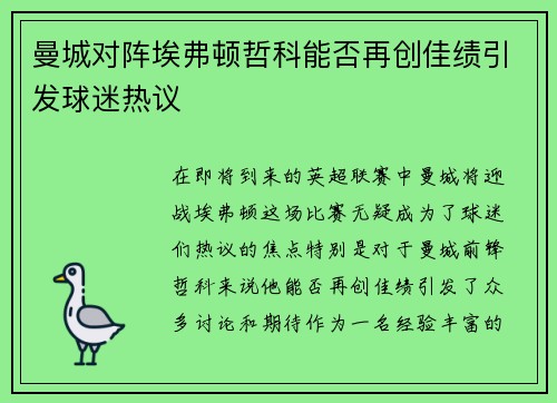 曼城对阵埃弗顿哲科能否再创佳绩引发球迷热议